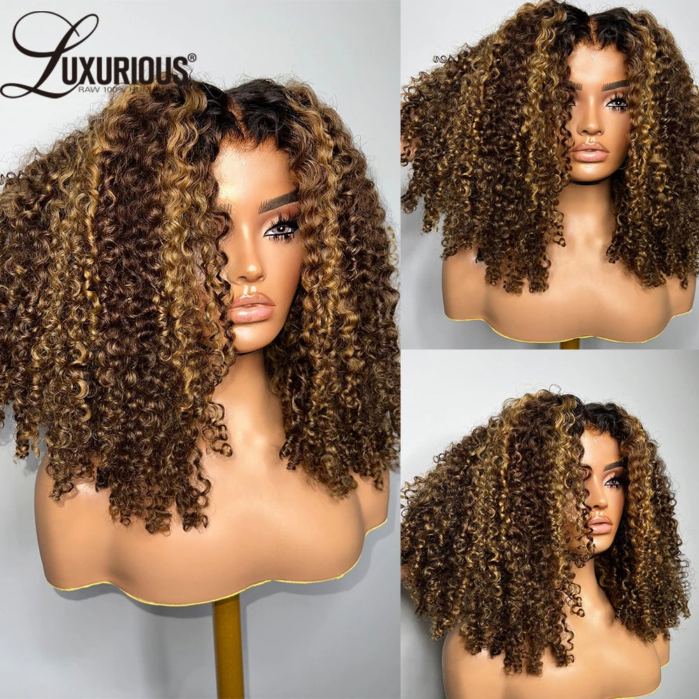 Highlight Ombre Honey Blonde Human Hair Wigs For Women 13x4 Curly Lace Front Wig Human Hair Burmese Curly Wig Brazilian 250%