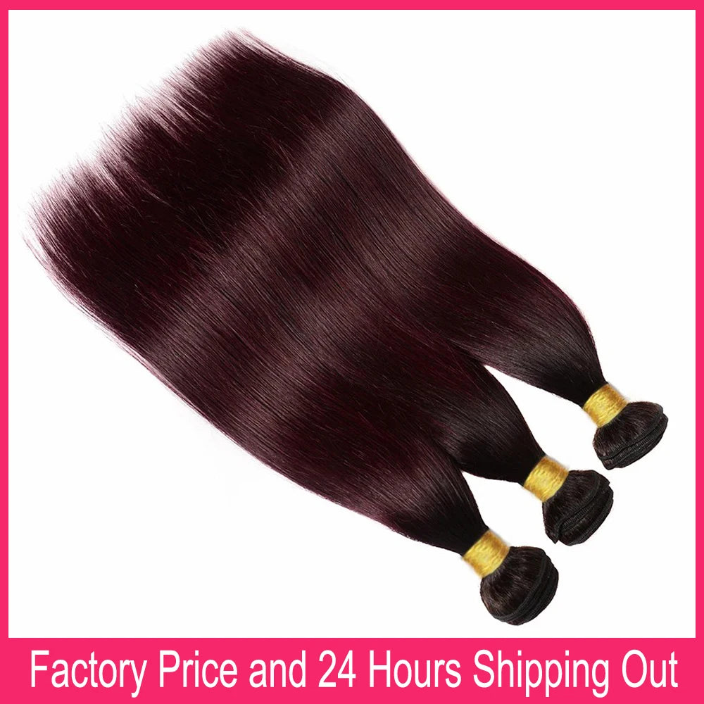 1B 99J Straight Bundles With 4x4 Lace Closure 100% Human Hair Ombre Burgundy Colored Hair Bundles With Transparent Lace Closures